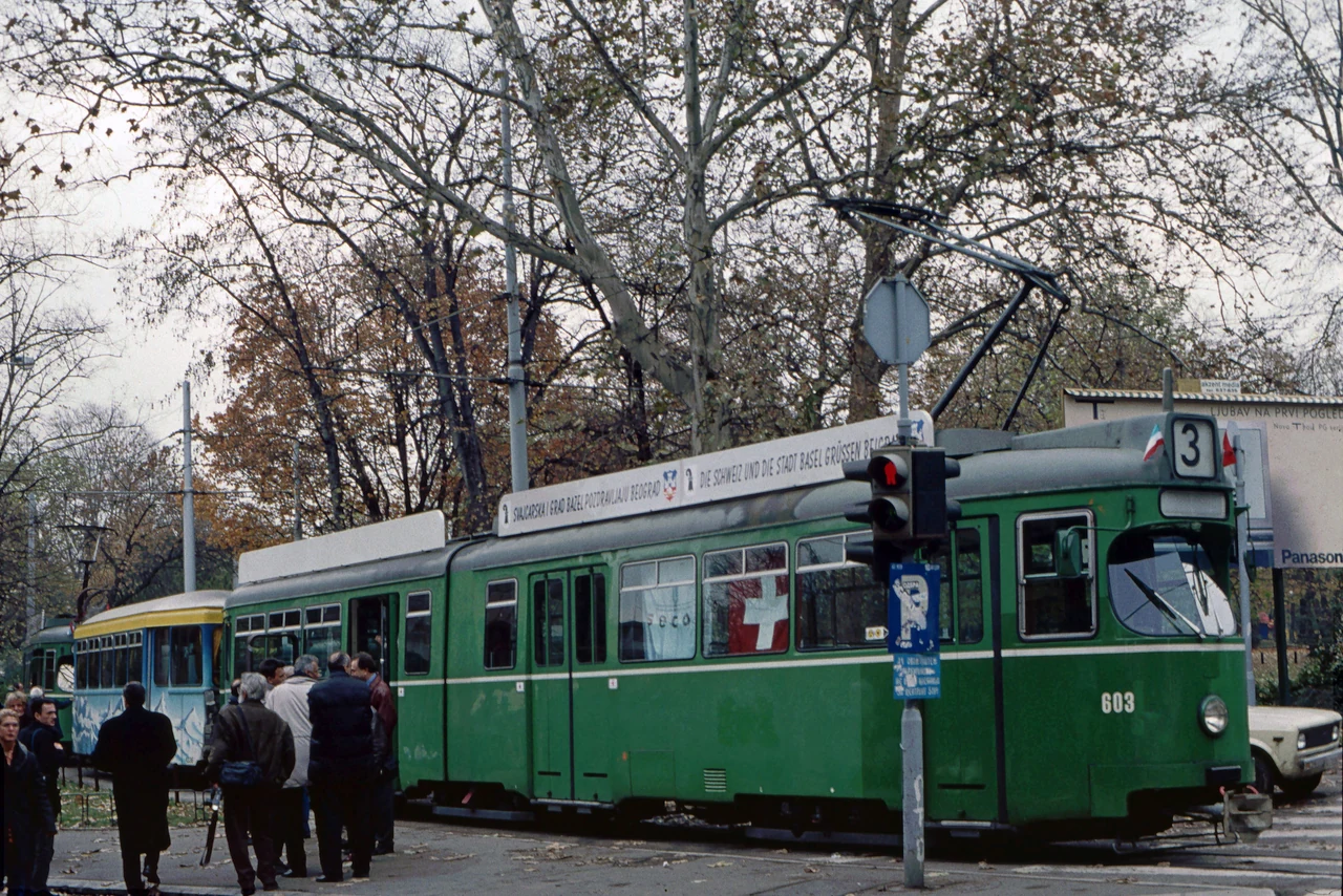 A tram and people under the trees.