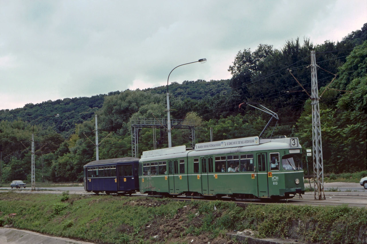 A tram on a curve beside the trees.